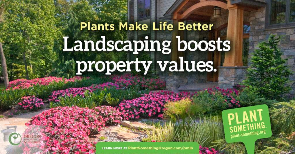 Landscaping boosts property values