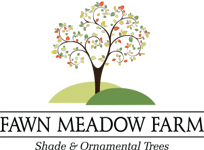 Fawn Meadow Farm LLC