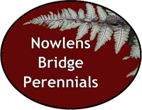 Nowlens Bridge Perennials