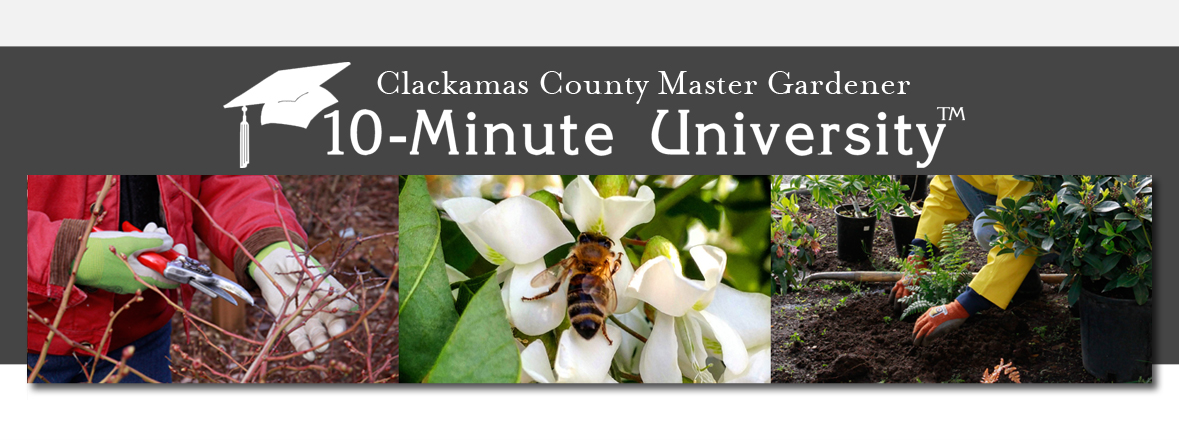 Get the scoop on gardening with 10-Minute University™