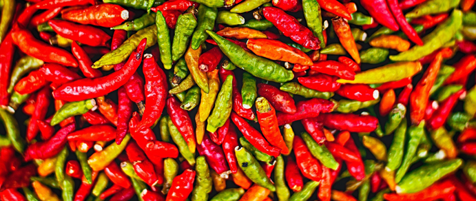 Hot Peppers! From Seed to Salsa webinar