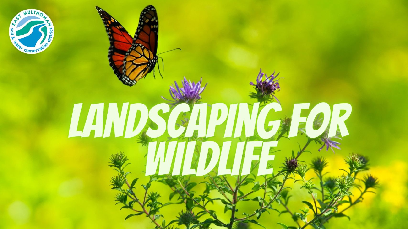 Landscaping for Wildlife workshop