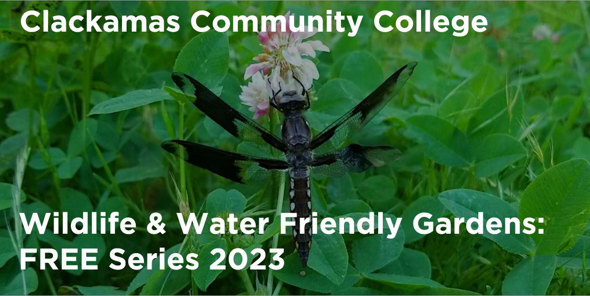 Classes address wildlife-friendly, low-water gardening