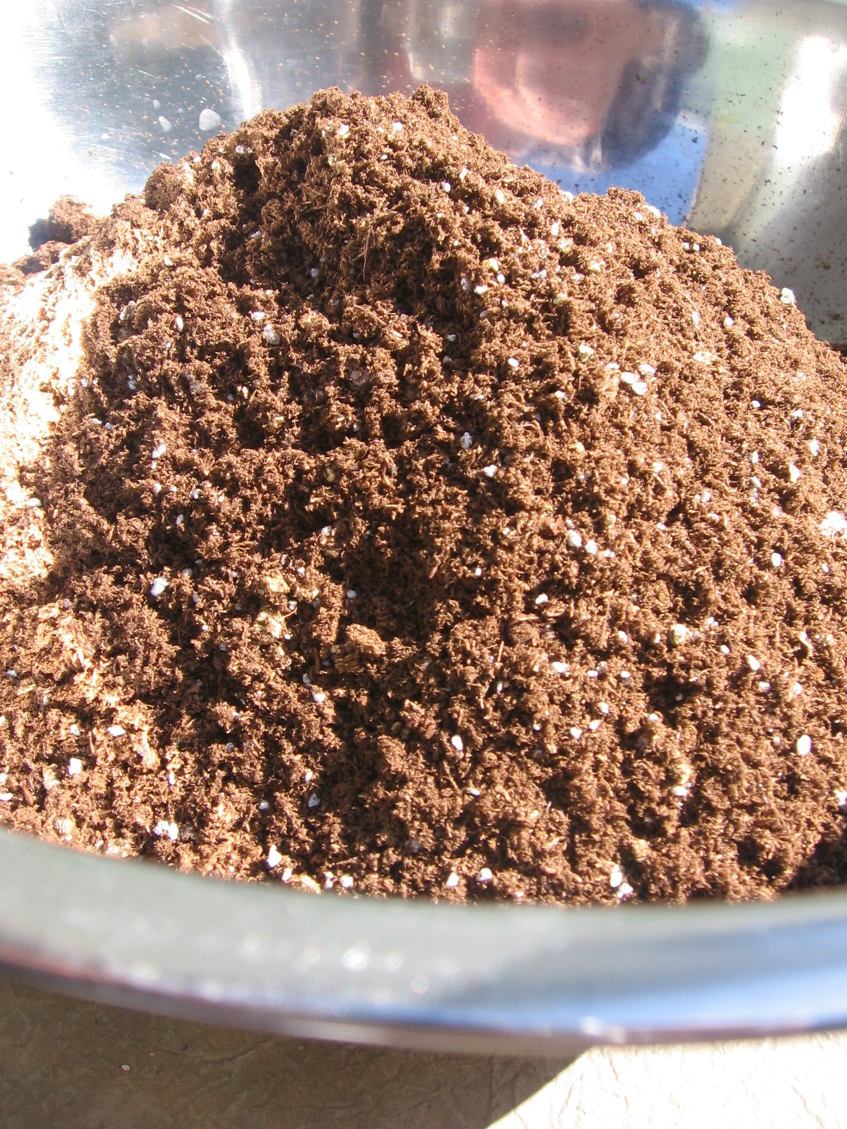 Set seeds on the right path with homemade soil mixture