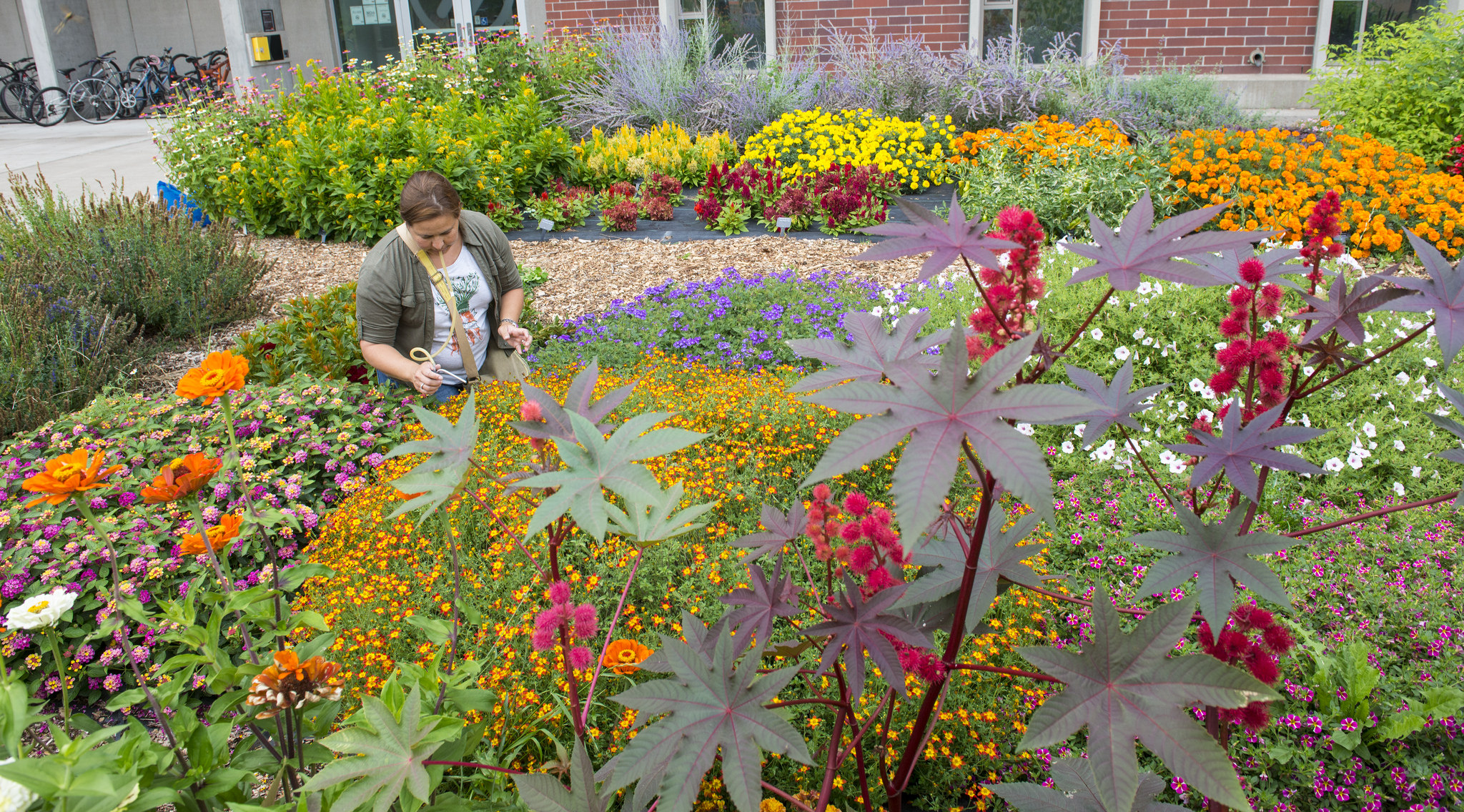 Dirty your hands and feed your brain as a Master Gardener