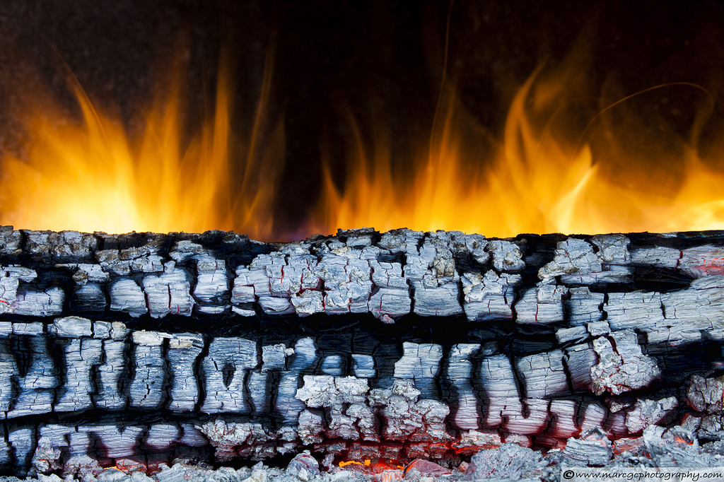 Sweep wood ash from fireplace to garden – Plant Something Oregon