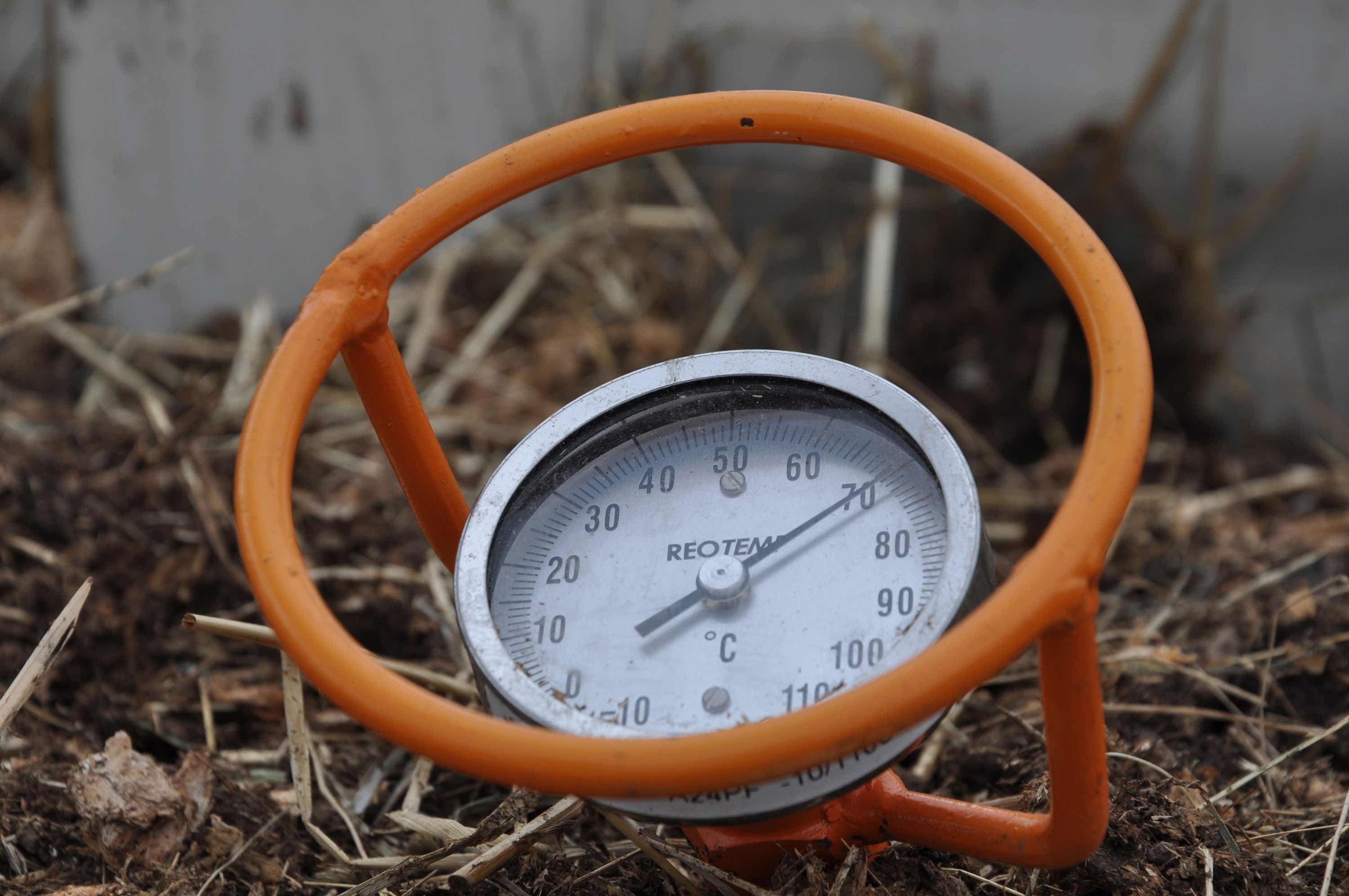 Stick a thermometer in the soil before planting vegetables