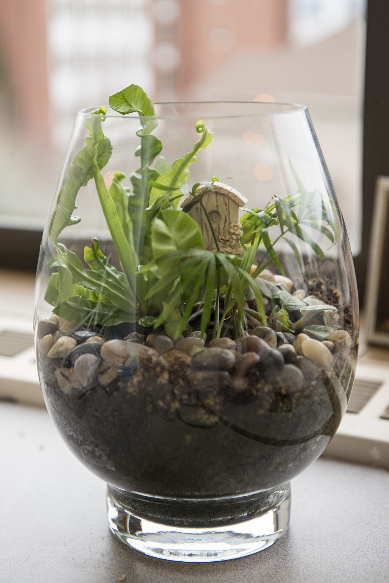 Go miniature with a glass terrarium