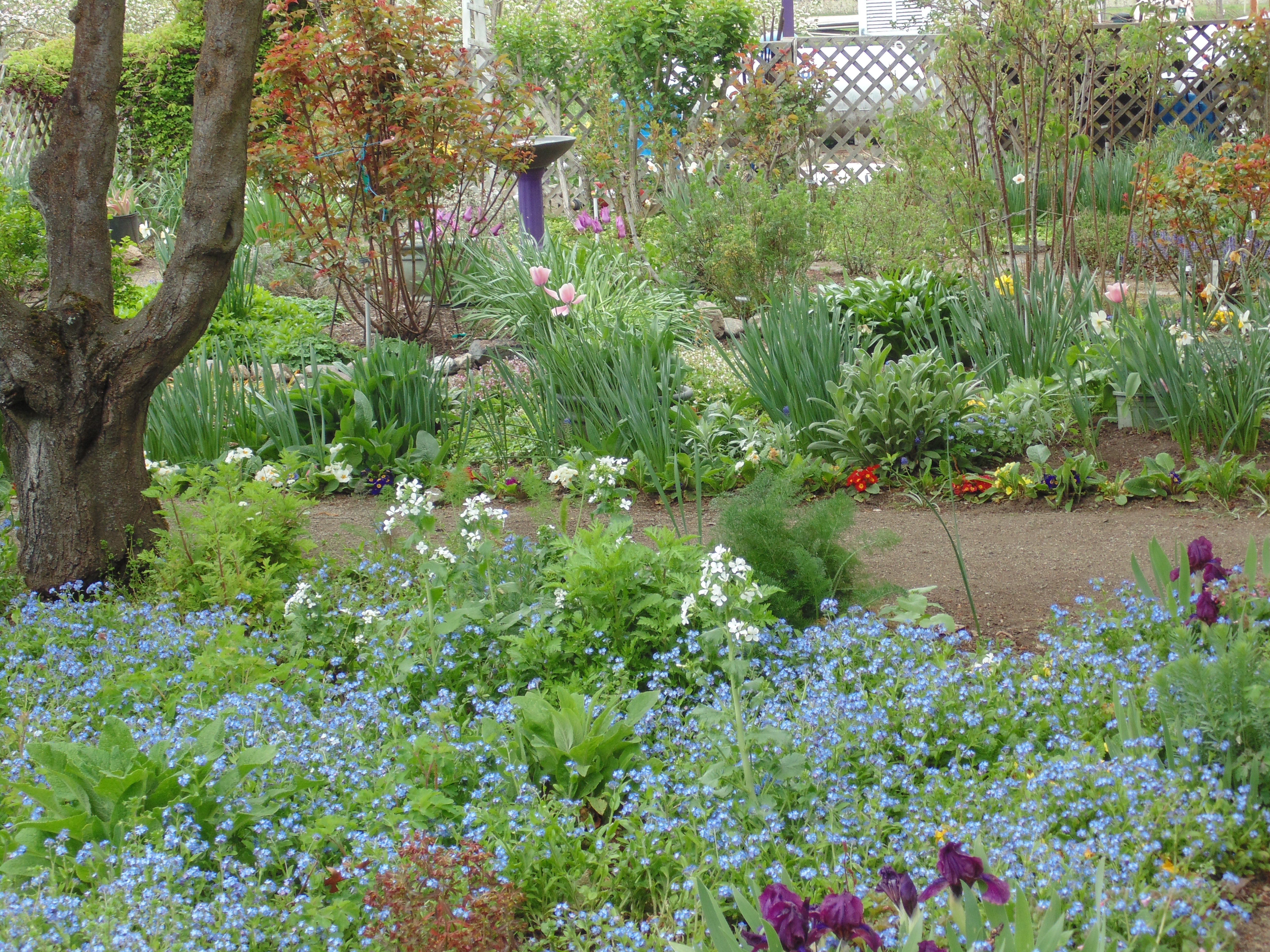 5 easy ways to be sustainable in the garden