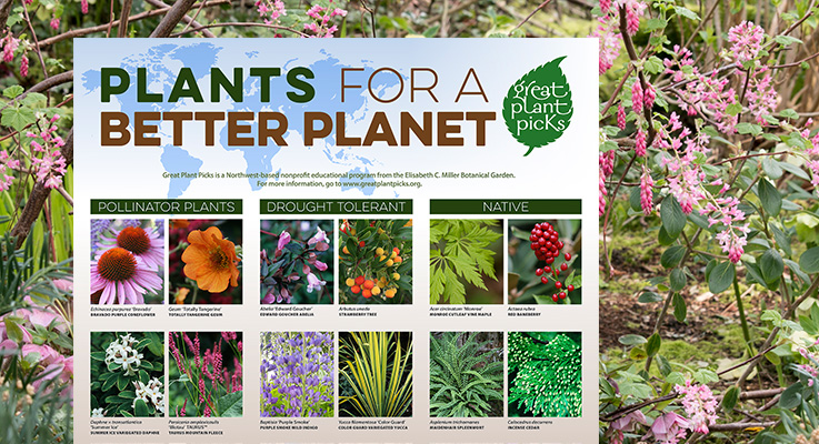 Plants for a better planet