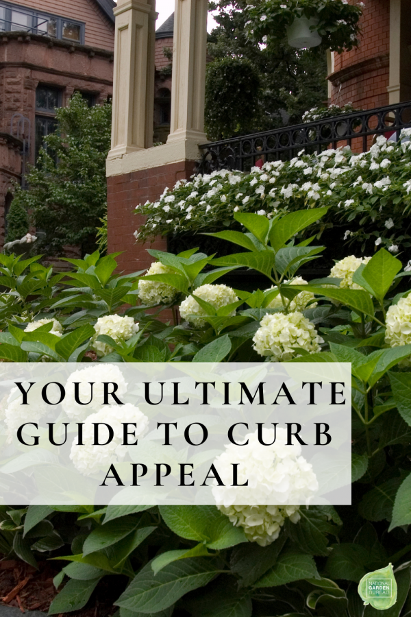 10 Tips To Create the Ultimate Curb Appeal