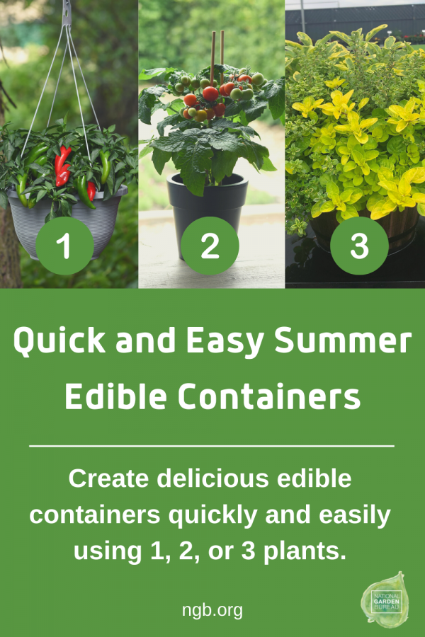Quick and Easy Summer Edible Containers, 1-2-3!