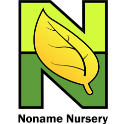 Noname Nursery