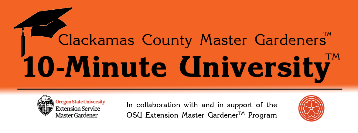 Get the scoop on gardening with 10-Minute University™