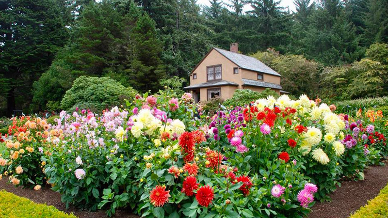 Enjoy blooms of all hues year-round at Shore Acres State Park on the Southern Oregon Coast.