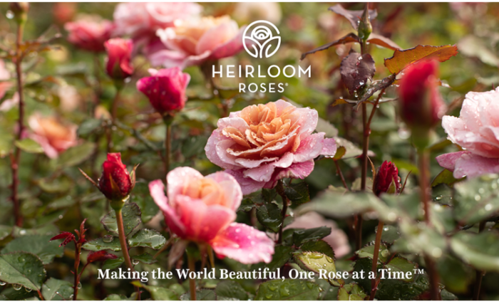 Heirloom Roses Inc.