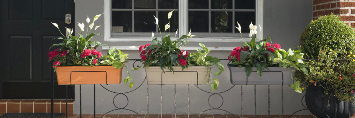 Fall in love with container gardening: Five great reasons