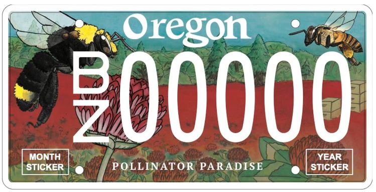 pollinator paradise license plate