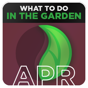 What to do in the garden in April