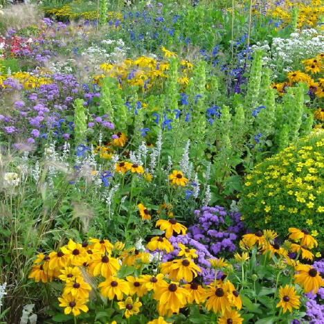 Five fabulous reasons to grow a diverse garden – Plant Something Oregon