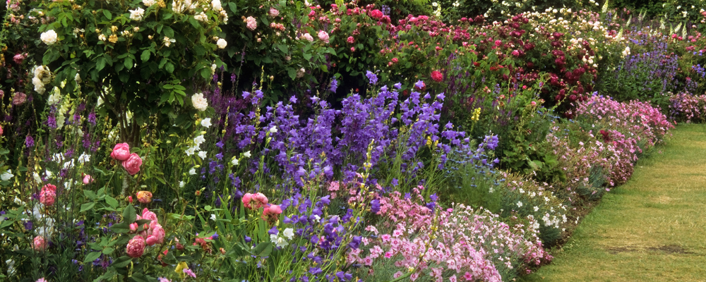 Five fabulous reasons to grow a diverse garden