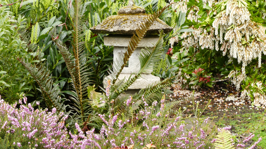 Registration opens for four-day Japanese garden workshop in Gresham