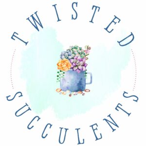 Twisted Succulents LLC