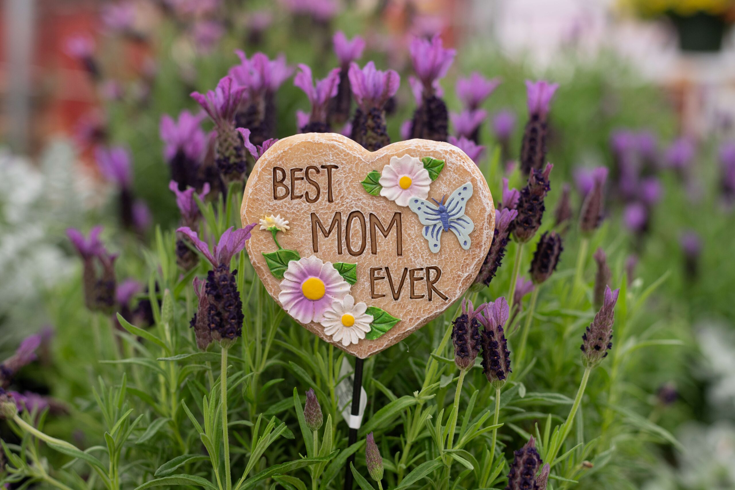 Mother’s Day gift ideas from local nurseries