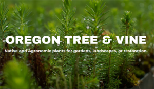 Oregon Tree & Vine LLC