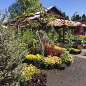 Little Red Farm Nursery