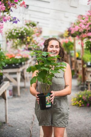Schilling’s Garden Market