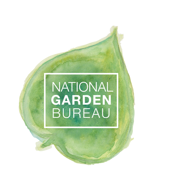 Level up your garden skills with free webinars from National Garden Bureau