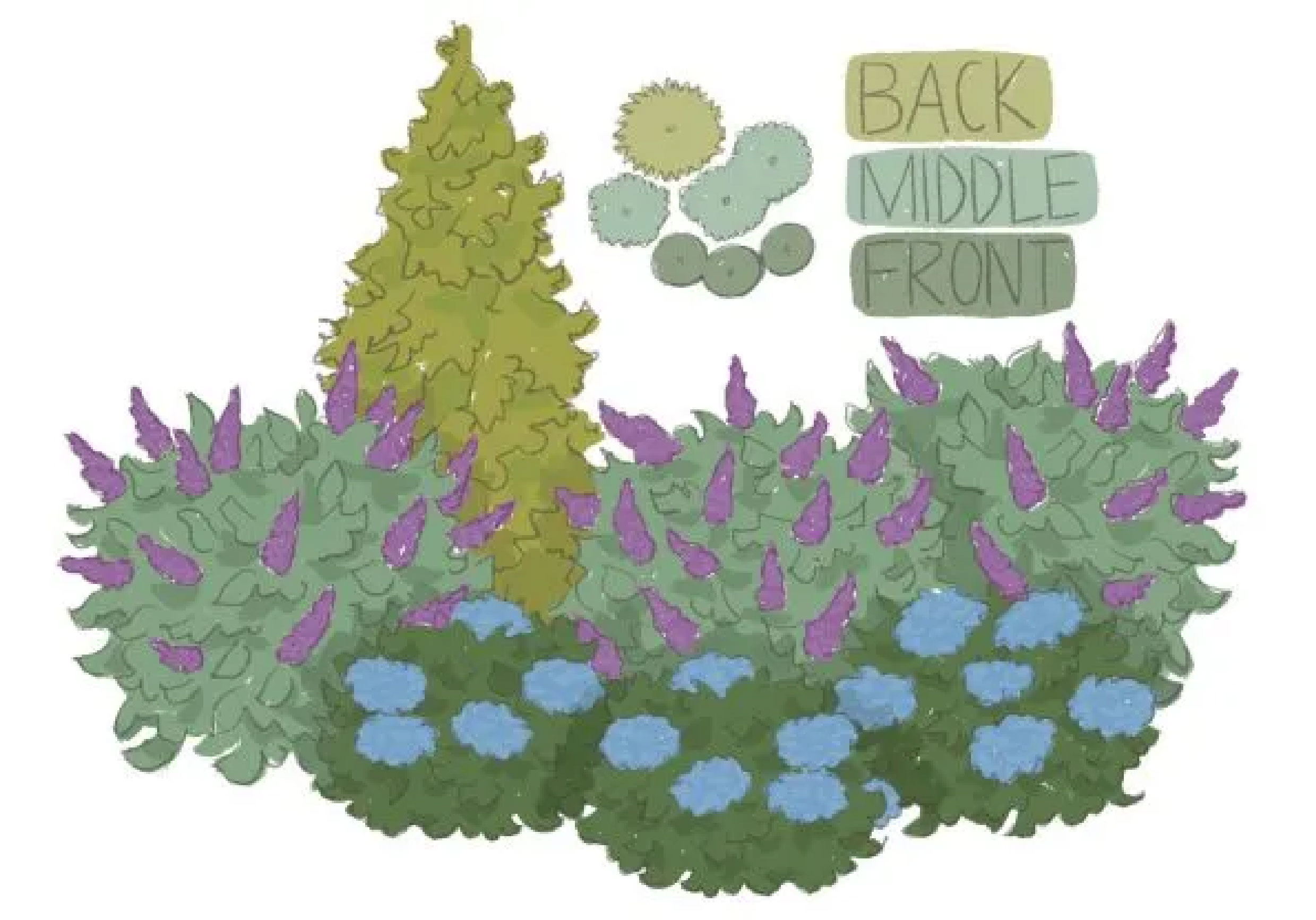 Proven Winners™ offers gardeners inspiration