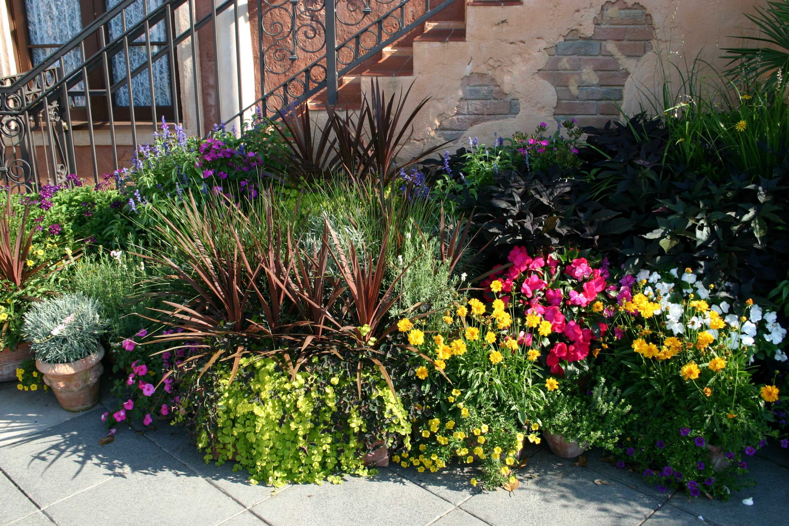 Potted plants can turn any small space into a garden oasis