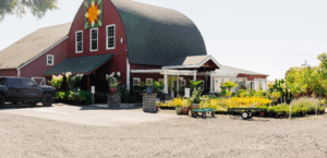 Scholls Farm & Nursery