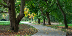 Columbia Children’s Arboretum