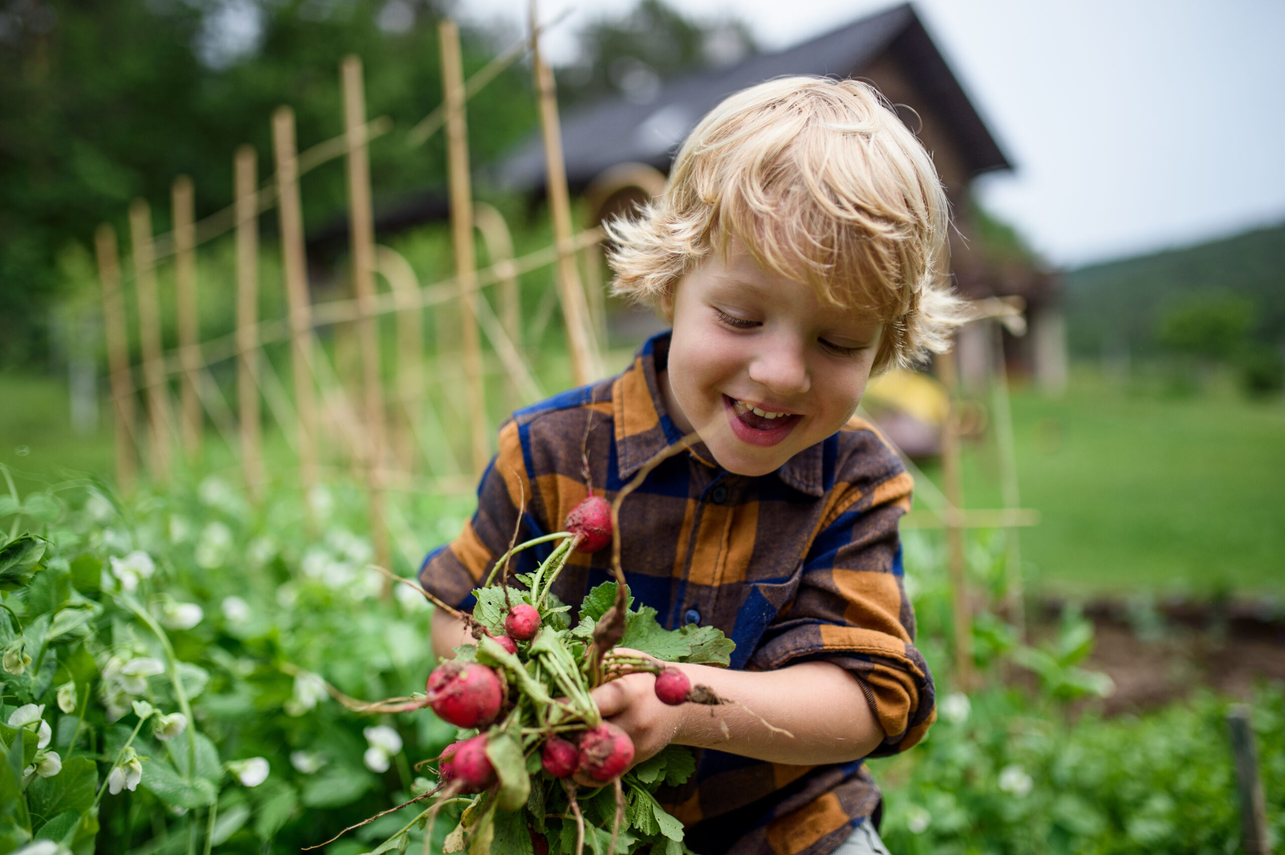 Oregon Farm to School Network unveils 10-year strategic plan