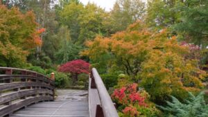 Gresham Japanese Garden