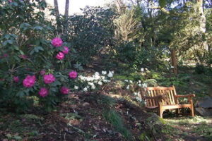 Hendricks Park (Rhododendron Garden)