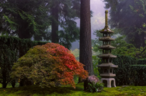 Portland Japanese Garden