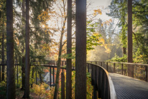 Photos by Tamra Tiemeyer