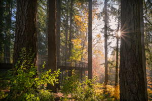 Photos by Tamra Tiemeyer