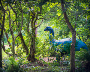 Photos by Tamra Tiemeyer