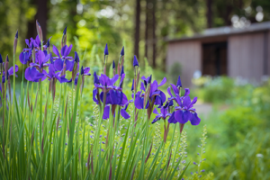 Photos by Tamra Tiemeyer