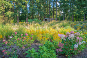 Photos by Tamra Tiemeyer