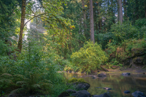 Photos by Tamra Tiemeyer