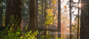 Photos by Tamra Tiemeyer