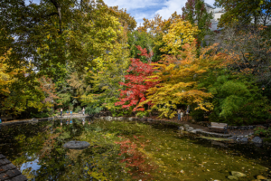 Photo by Bob Palermini