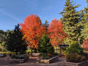 Portland Memory Garden