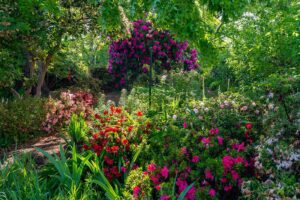 Bush’s Pasture Park, Rose Garden & Rhododendron Garden